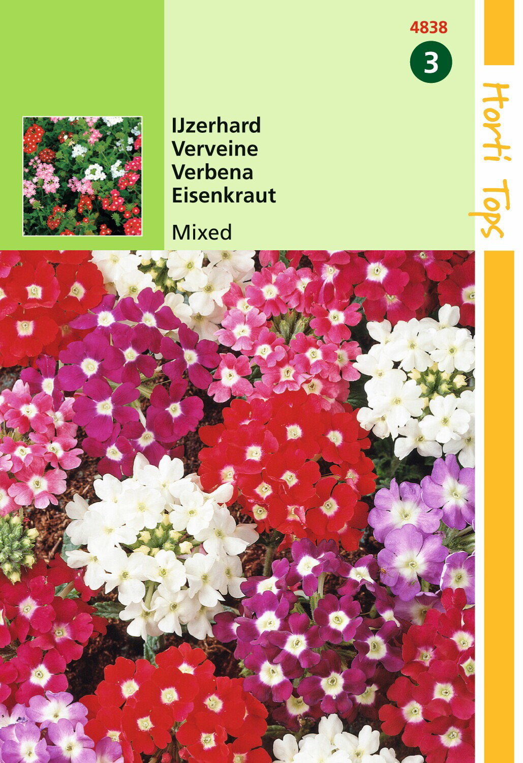 https://cdn.warentuin.nl/media/catalog/product/1/7/1778711117483809_hortitops_tuinzaden_hortitops_verbena_ijzerhard_gemengd_a509.jpeg