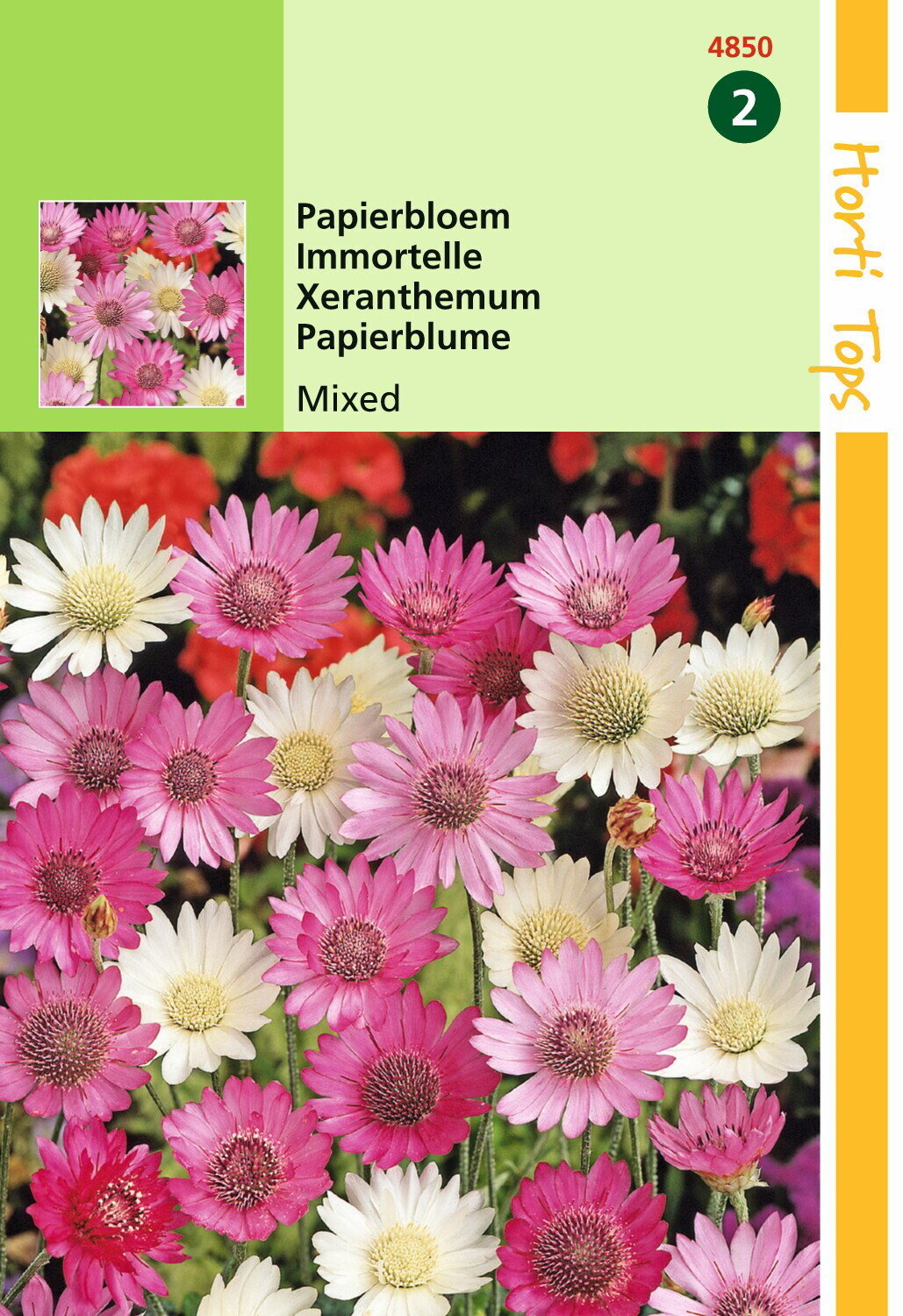 https://cdn.warentuin.nl/media/catalog/product/1/7/1778711117485001_hortitops_tuinzaden_hortitops_xeranthemum_papierbloem_gemengd_94d1.jpeg