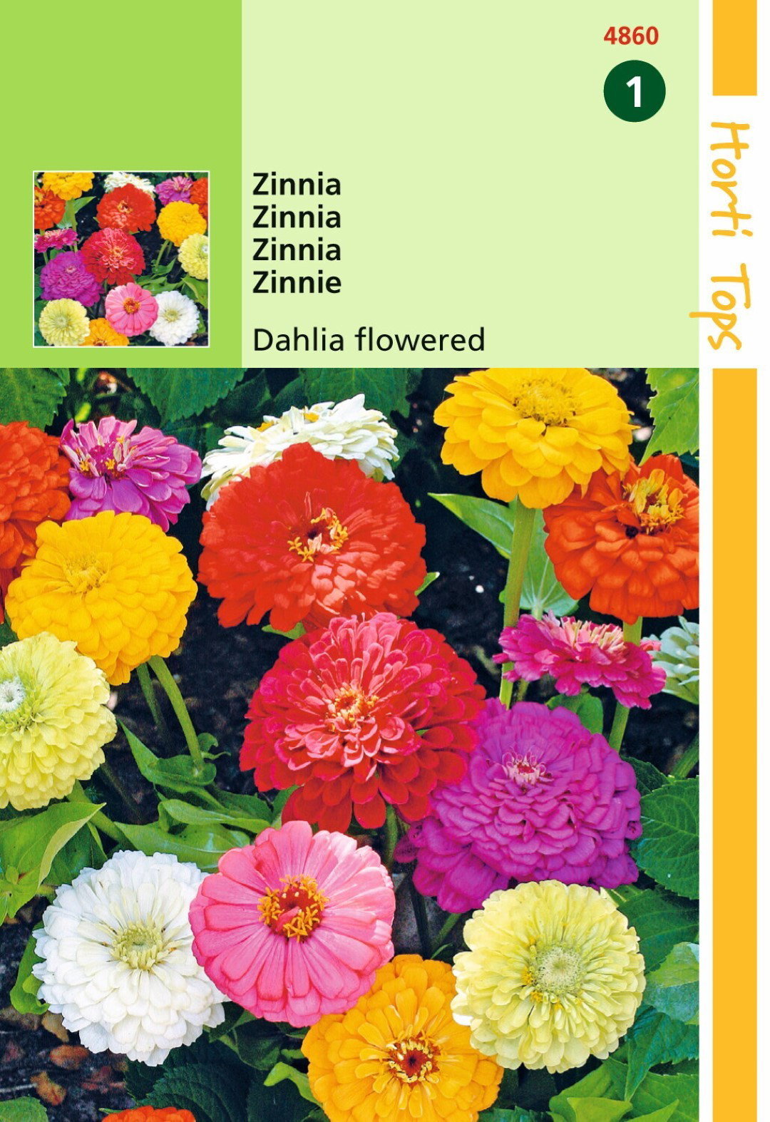 https://cdn.warentuin.nl/media/catalog/product/1/7/1778711117486008_hortitops_tuinzaden_hortitops_zinnia_dahliabloemig_8f54.jpeg