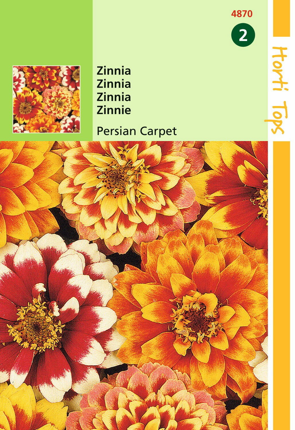 HT Zinnia Persian Carpet gemengd - Hortitops