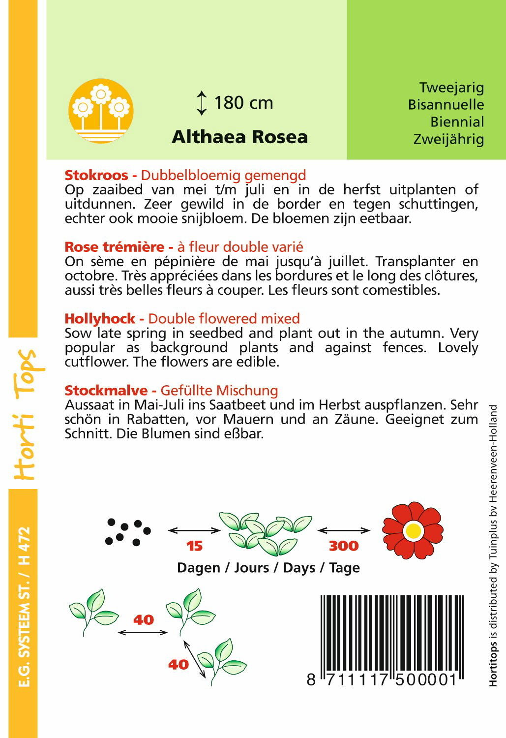 https://cdn.warentuin.nl/media/catalog/product/1/7/1778711117500001_1_hortitops_tuinzaden_hortitops_althaea_alcea_stokroos_chater__a3e5.jpeg