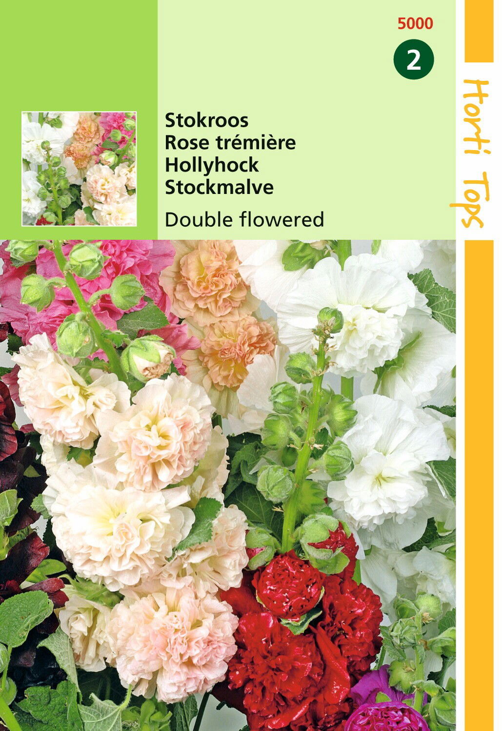 https://cdn.warentuin.nl/media/catalog/product/1/7/1778711117500001_hortitops_tuinzaden_hortitops_althaea_alcea_stokroos_chater_s__7f50.jpeg