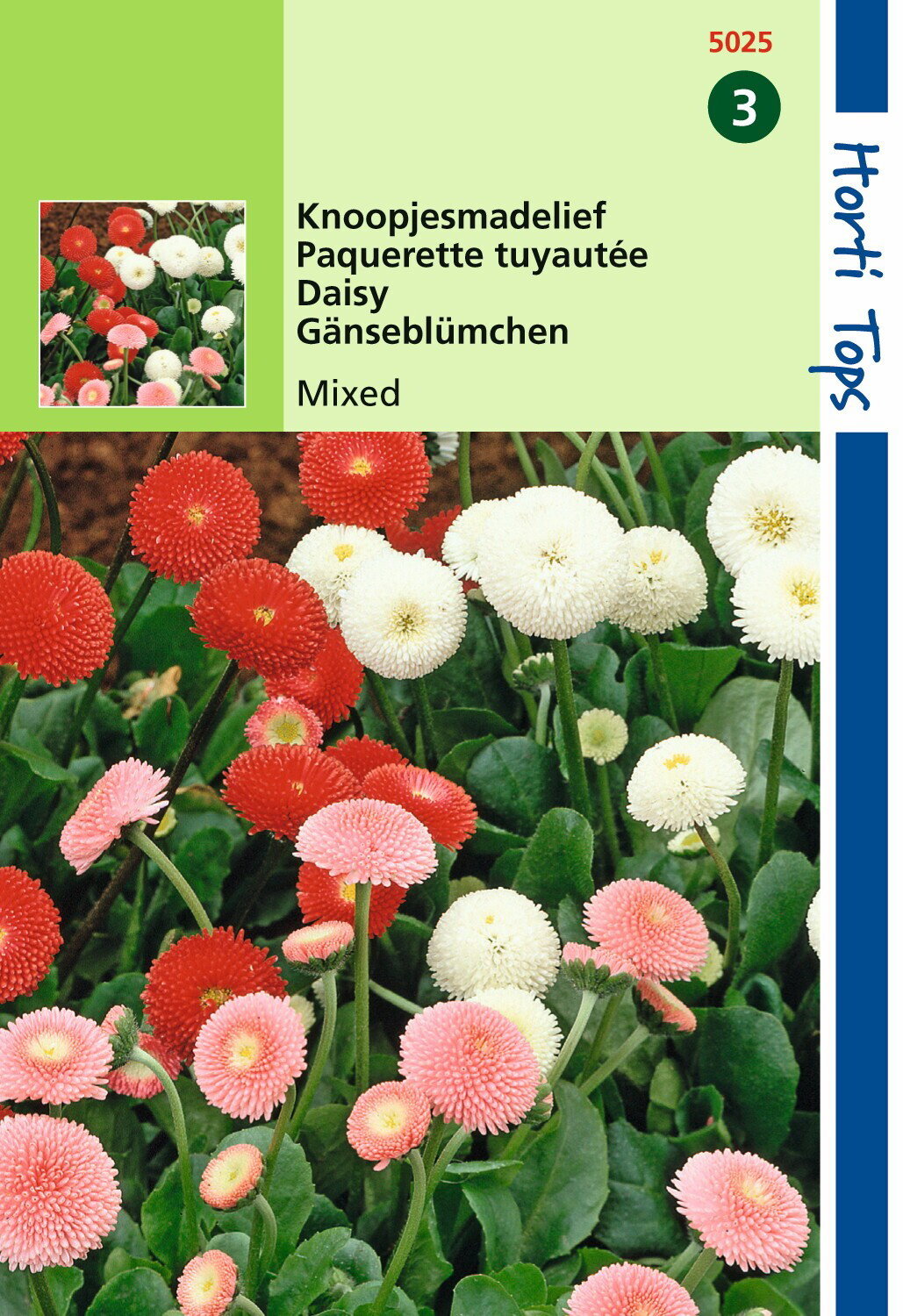 https://cdn.warentuin.nl/media/catalog/product/1/7/1778711117502500_hortitops_tuinzaden_hortitops_bellis_perennis_knoopjesmadelief_5fd9.jpeg