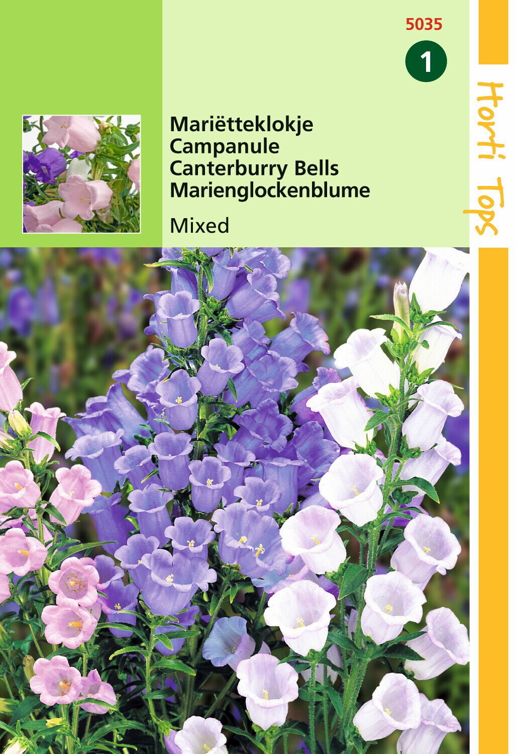 https://cdn.warentuin.nl/media/catalog/product/1/7/1778711117503507_hortitops_tuinzaden_hortitops_campanula_marietteklokje_enkelbl_d152.jpeg