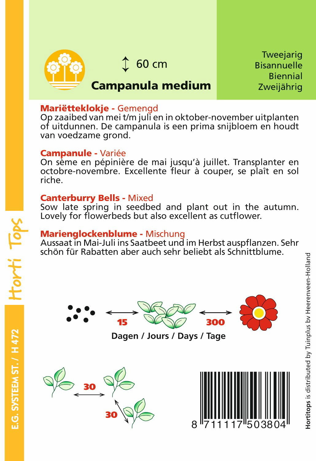 https://cdn.warentuin.nl/media/catalog/product/1/7/1778711117503804_1_hortitops_tuinzaden_hortitops_campanula_marietteklokje_calyc_32db.jpeg