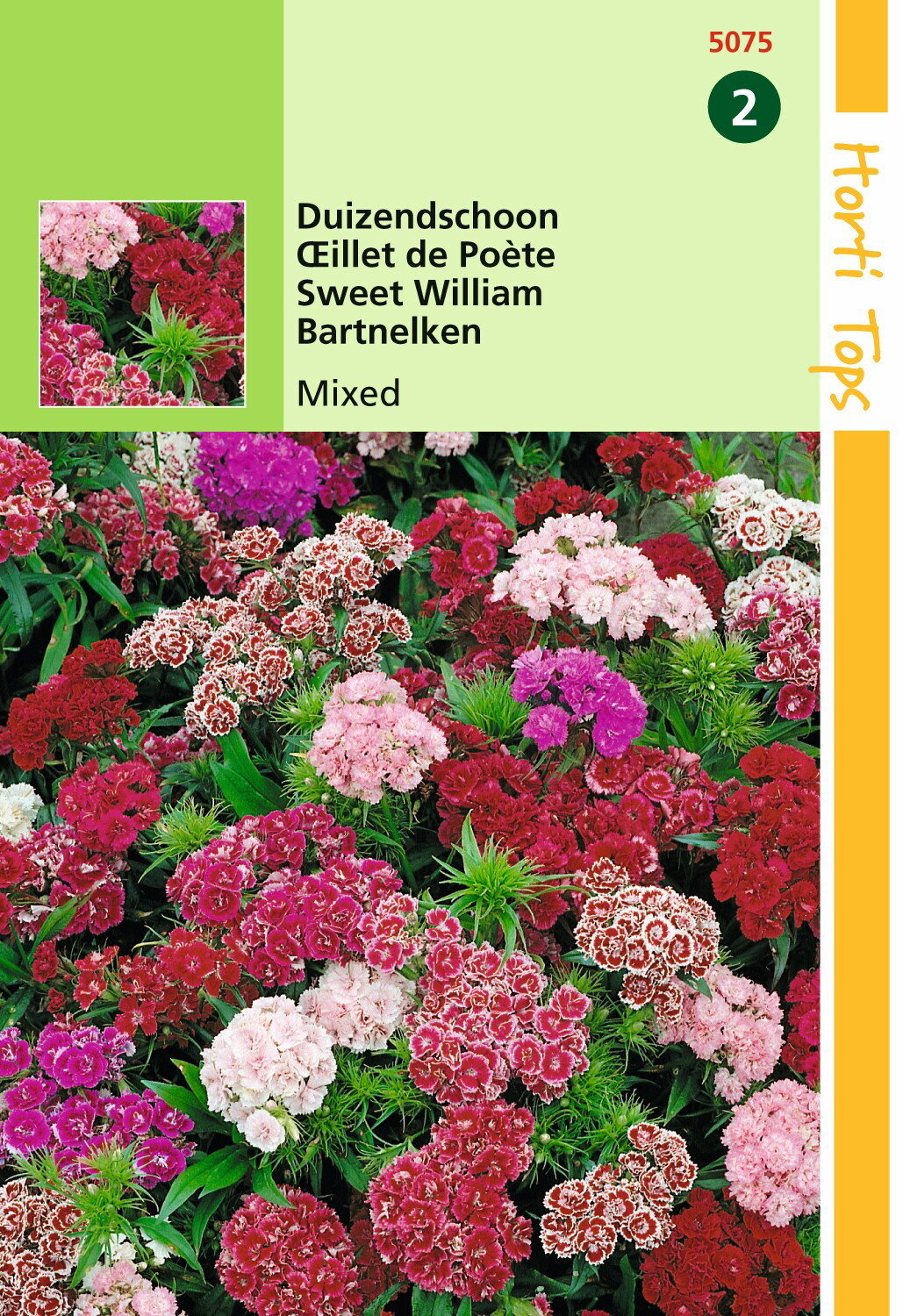 https://cdn.warentuin.nl/media/catalog/product/1/7/1778711117507505_hortitops_tuinzaden_hortitops_dianthus_duizendschoon_laag_geme_eaef.jpeg