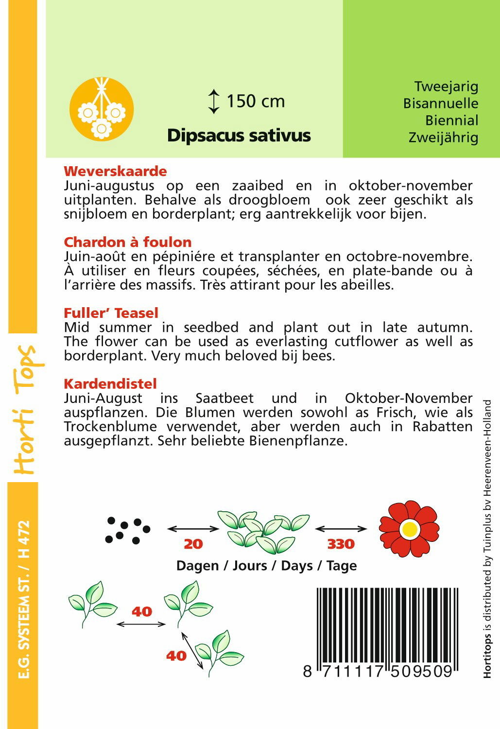 https://cdn.warentuin.nl/media/catalog/product/1/7/1778711117509509_1_hortitops_tuinzaden_hortitops_dipsacus_weverskaarde_2531.jpeg