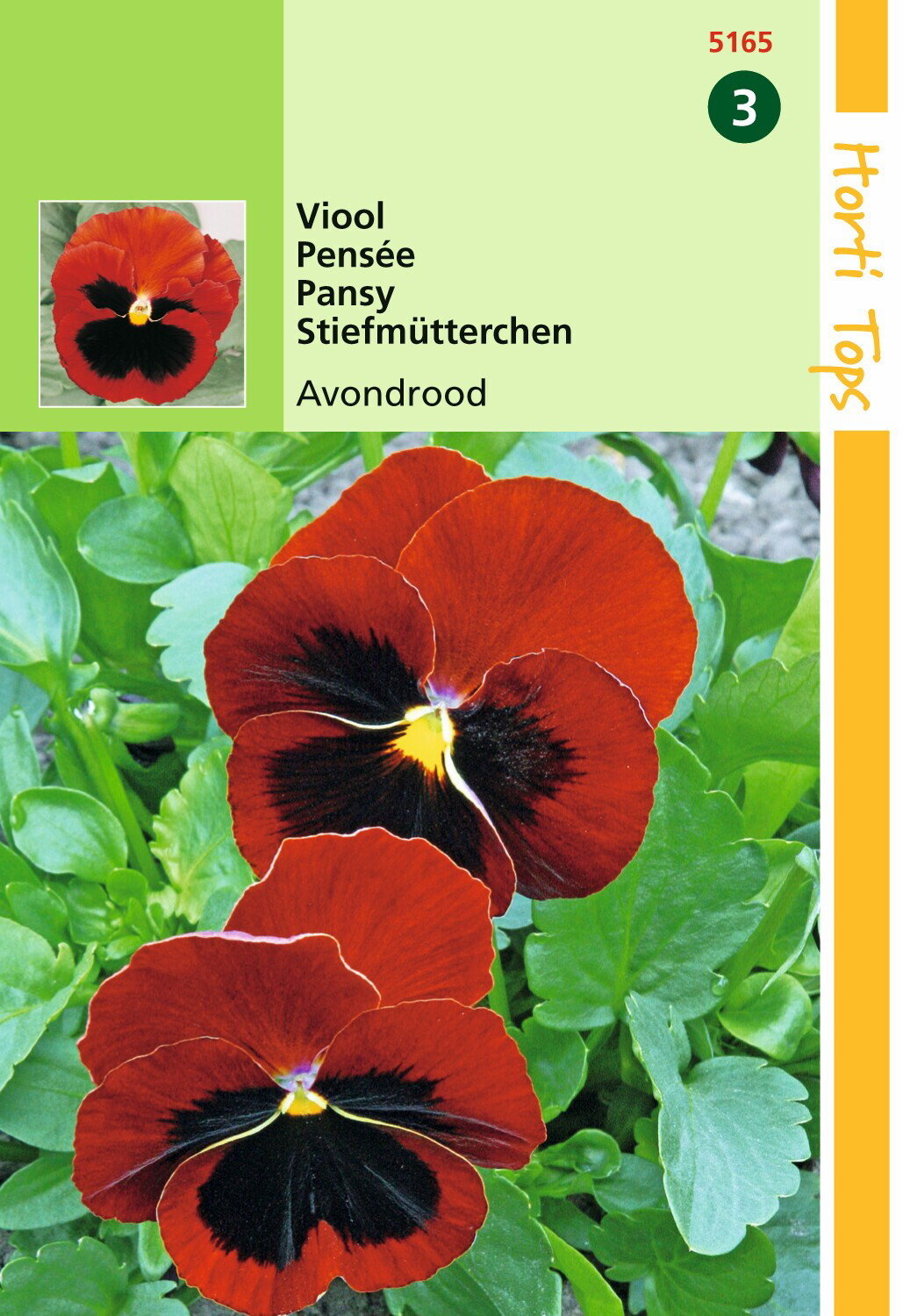 https://cdn.warentuin.nl/media/catalog/product/1/7/1778711117516507_hortitops_tuinzaden_hortitops_viola_viool_avondrood_fbf2.jpeg