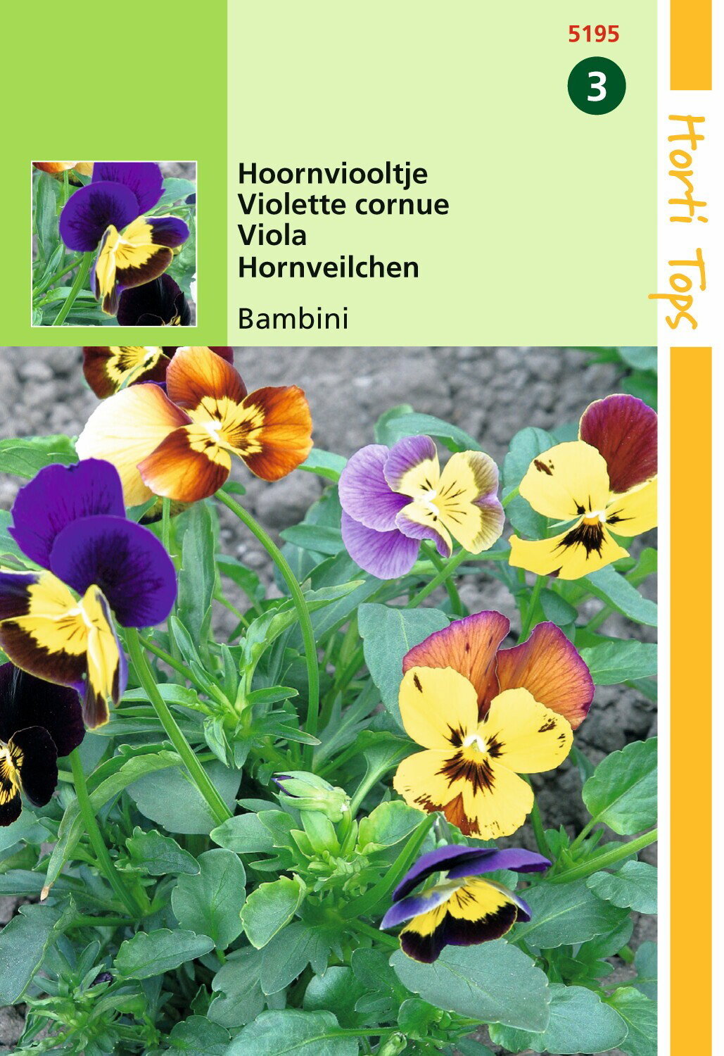 https://cdn.warentuin.nl/media/catalog/product/1/7/1778711117519508_hortitops_tuinzaden_hortitops_viola_hoornviooltje_bambini_geme_9815.jpeg