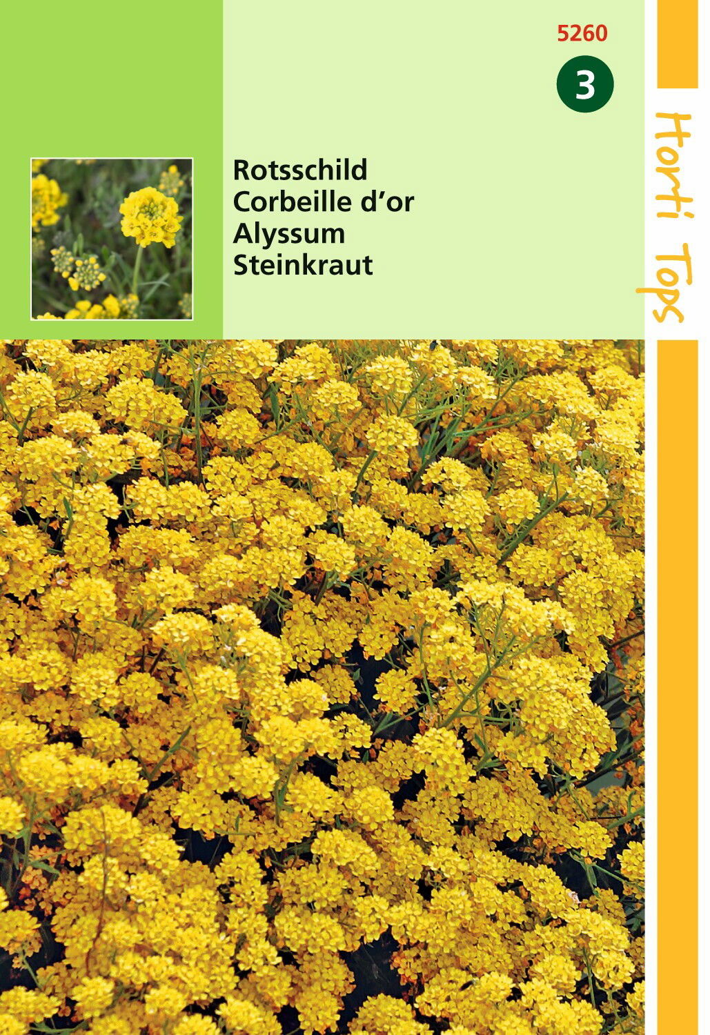 Alyssum Saxatile Compactum Goudgeel Hortitops