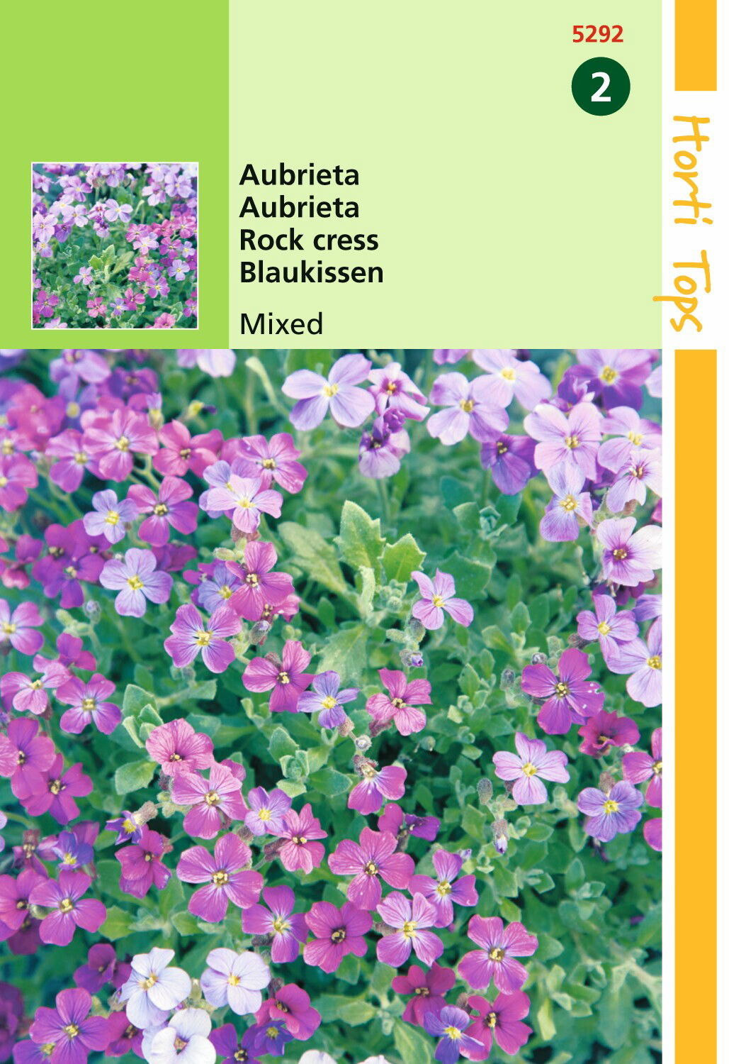 https://cdn.warentuin.nl/media/catalog/product/1/7/1778711117529200_hortitops_tuinzaden_hortitops_aubrietia_blauwkussen_gemengd_012c.jpeg