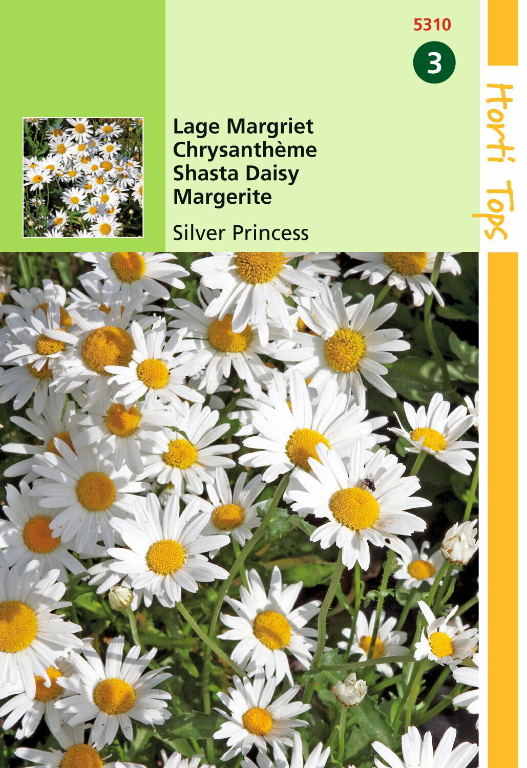 https://cdn.warentuin.nl/media/catalog/product/1/7/1778711117531005_hortitops_tuinzaden_hortitops_chrysanthemum_lage_margriet_silv_c1f1.jpeg