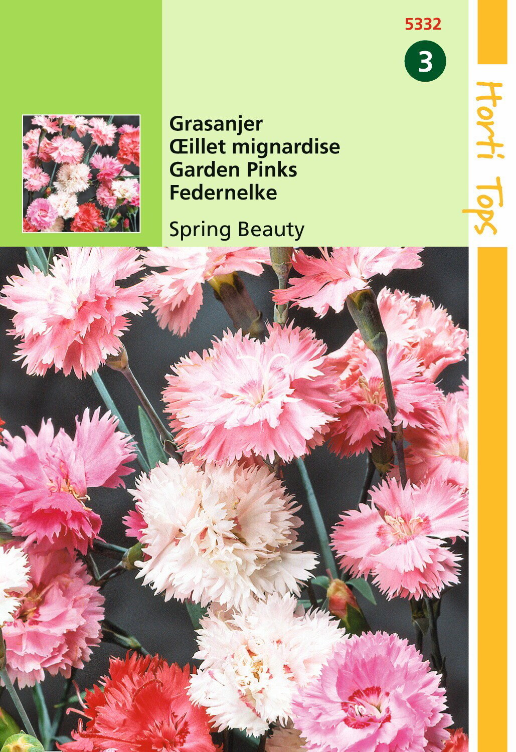https://cdn.warentuin.nl/media/catalog/product/1/7/1778711117533207_hortitops_tuinzaden_hortitops_dianthus_grasanjer_spring_beauty_db63.jpeg
