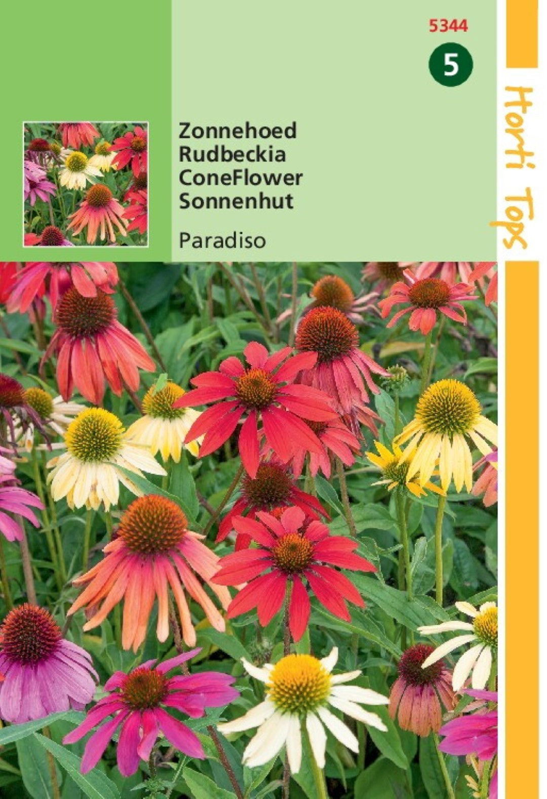 https://cdn.warentuin.nl/media/catalog/product/1/7/1778711117534402_hortitops_tuinzaden_hortitops_echinacea_zonnehoed_paradiso_3047.jpeg