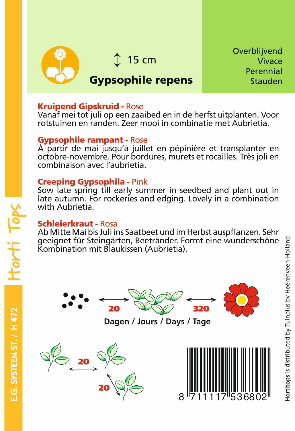 https://cdn.warentuin.nl/media/catalog/product/1/7/1778711117536802_1_hortitops_tuinzaden_hortitops_gypsophila_kruipend_gipskruid__e222.jpeg