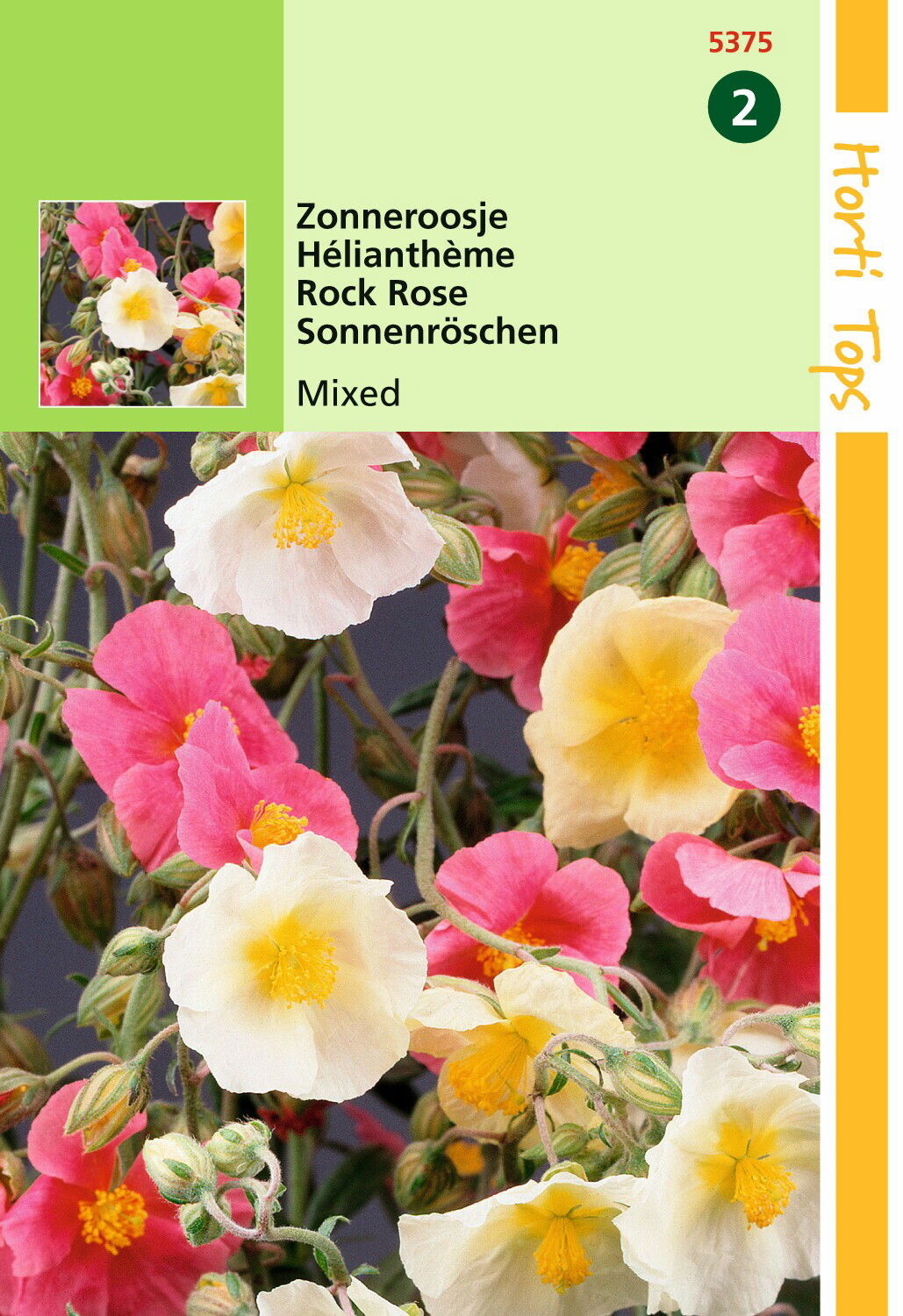 https://cdn.warentuin.nl/media/catalog/product/1/7/1778711117537502_hortitops_tuinzaden_hortitops_helianthemum_zonneroosje_gemengd_7e8b.jpeg