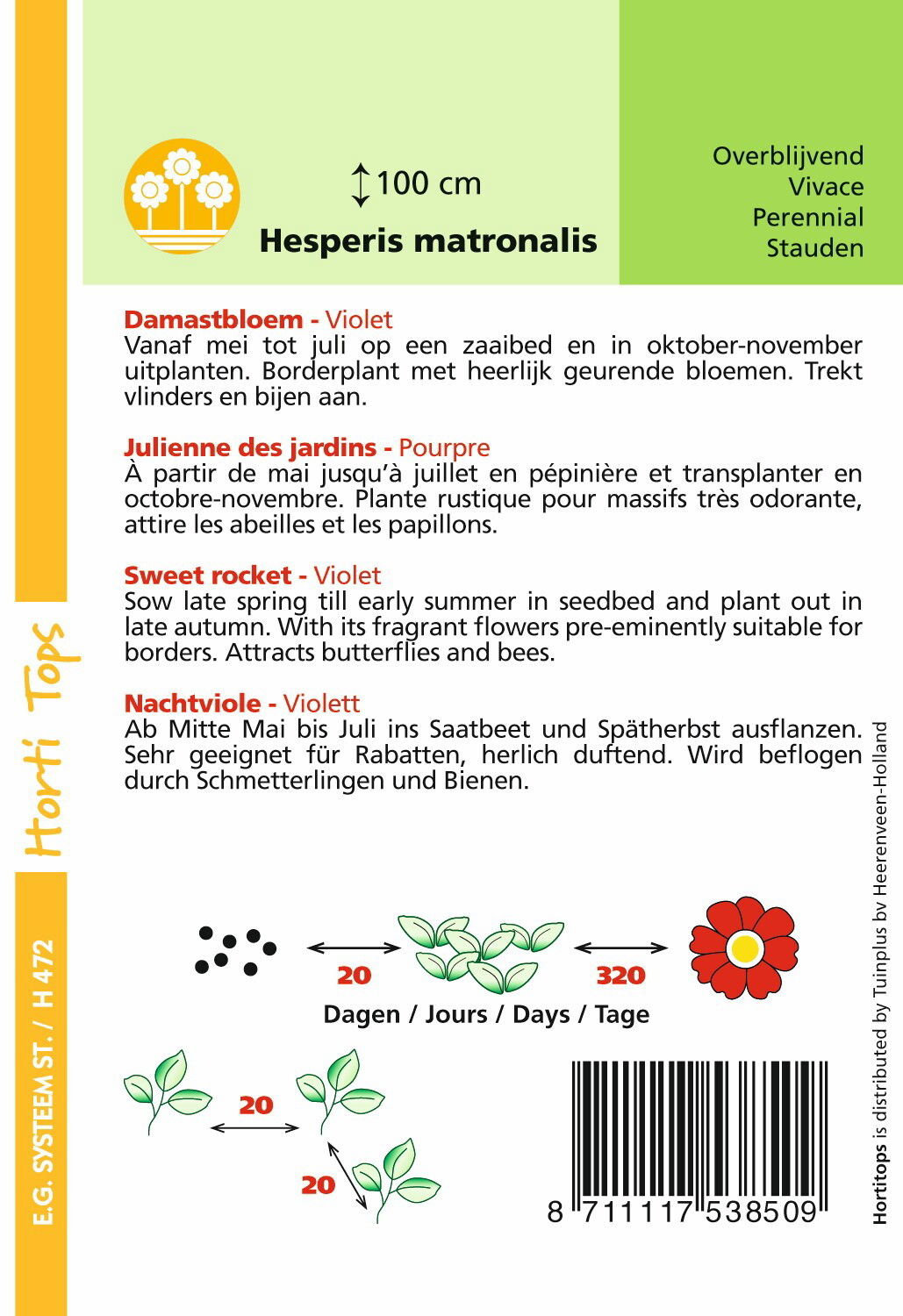 https://cdn.warentuin.nl/media/catalog/product/1/7/1778711117538509_1_hortitops_tuinzaden_hortitops_hesperis_damastbloem_violet_db38.jpeg