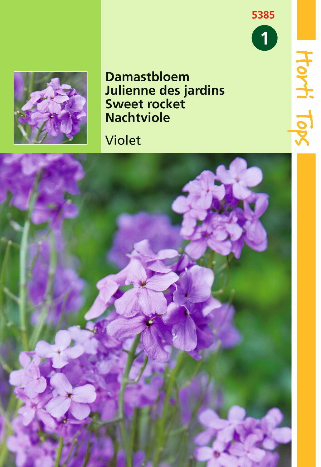 https://cdn.warentuin.nl/media/catalog/product/1/7/1778711117538509_hortitops_tuinzaden_hortitops_hesperis_damastbloem_violet_608e.jpeg