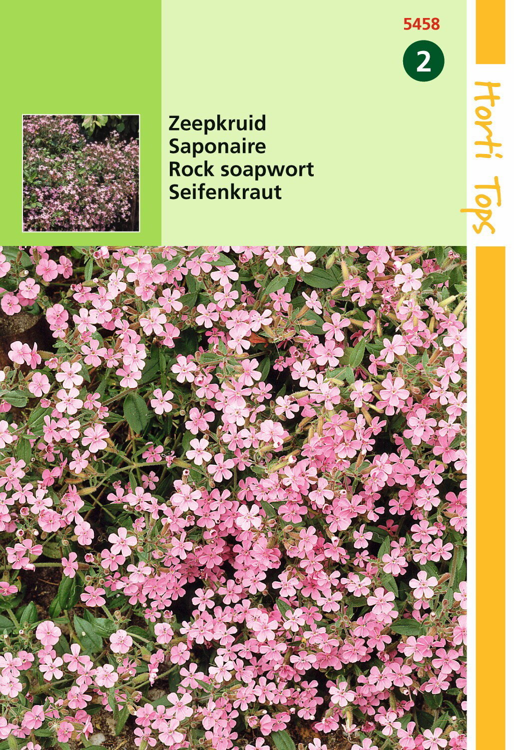 https://cdn.warentuin.nl/media/catalog/product/1/7/1778711117545804_hortitops_tuinzaden_hortitops_saponaria_zeepkruid_rose_9351.jpeg