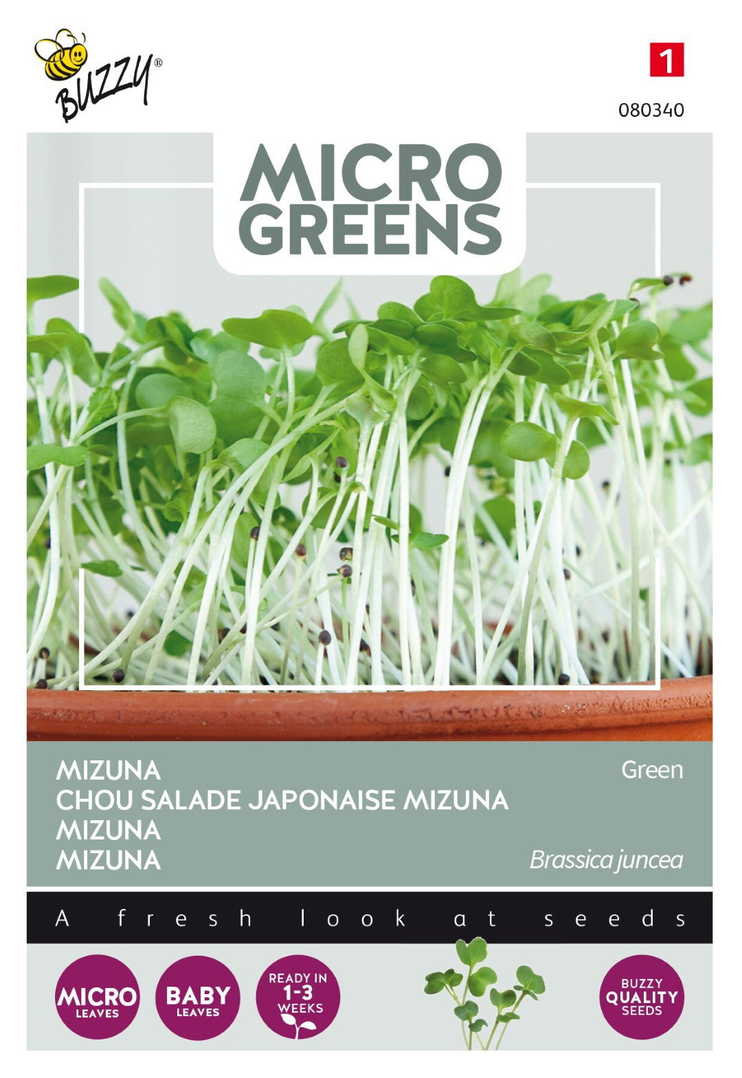 https://cdn.warentuin.nl/media/catalog/product/1/7/1778711117803409_thema_series_tuinzaden_buzzy_microgreens_mizuna_84f8.jpeg