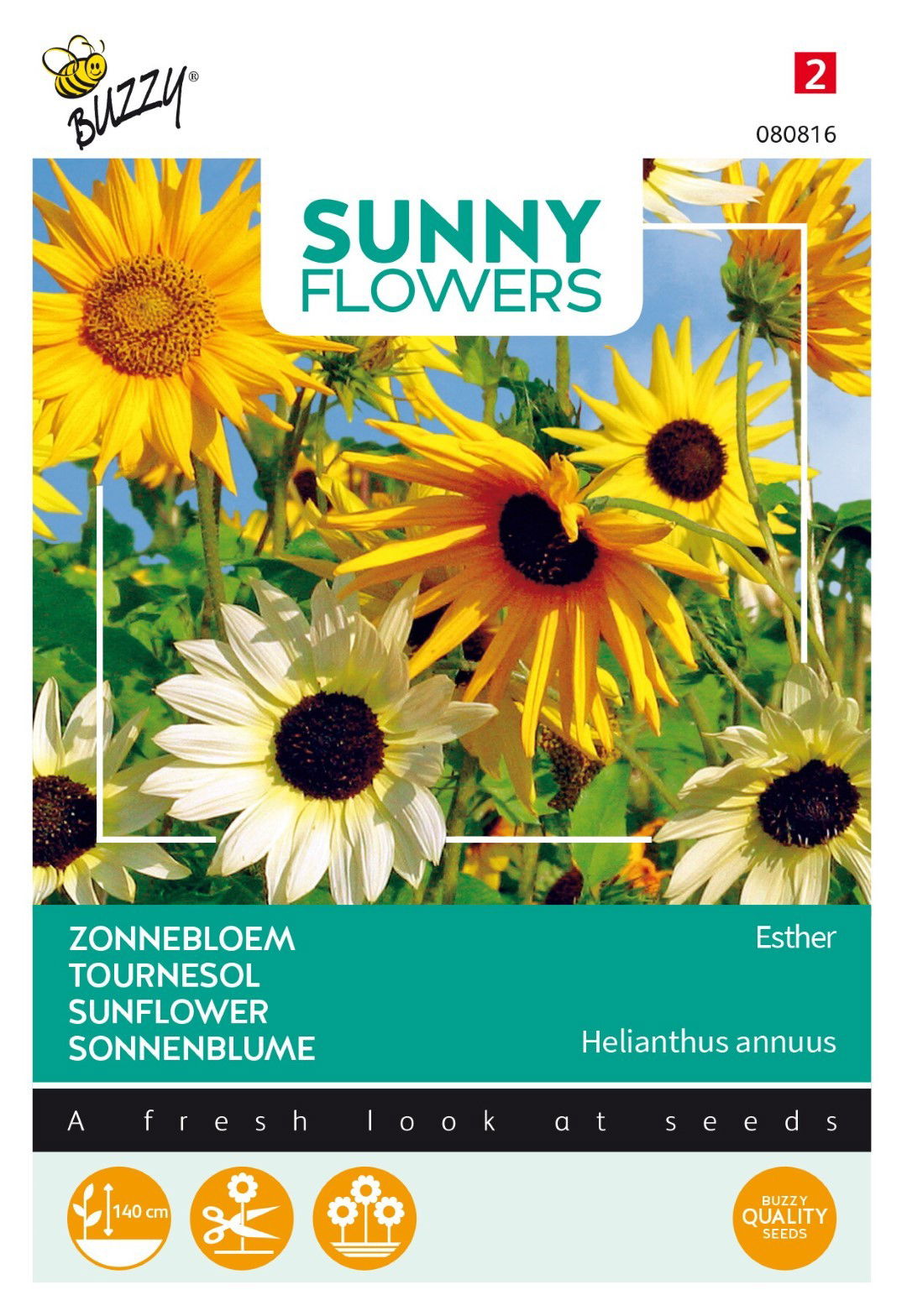 https://cdn.warentuin.nl/media/catalog/product/1/7/1778711117808169_thema_series_tuinzaden_buzzy_sunny_flowers_zonnebloem_esther_67c5.jpeg