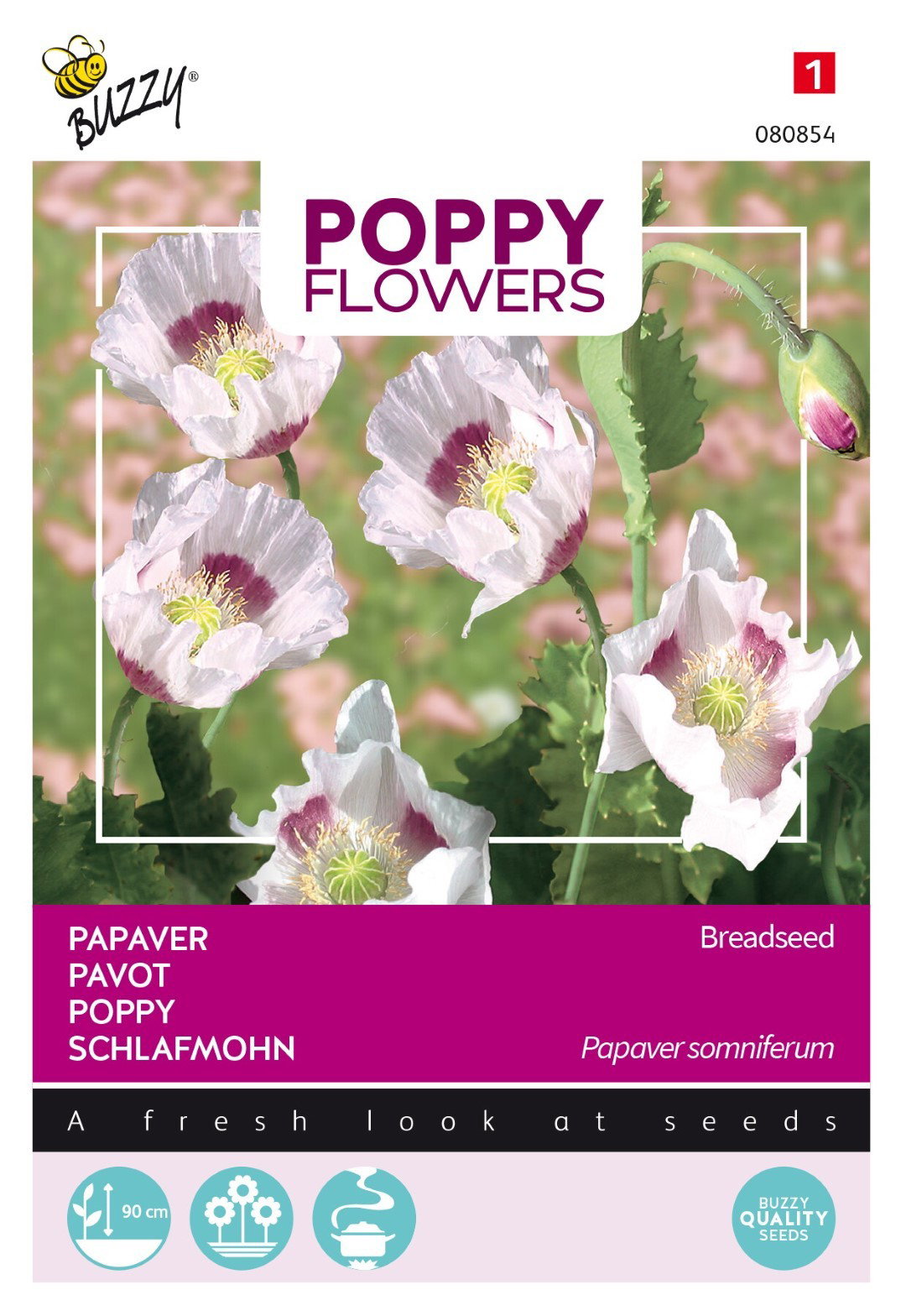 https://cdn.warentuin.nl/media/catalog/product/1/7/1778711117808541_thema_series_tuinzaden_buzzy_poppies_of_the_world_papaver_blau_206c.jpeg