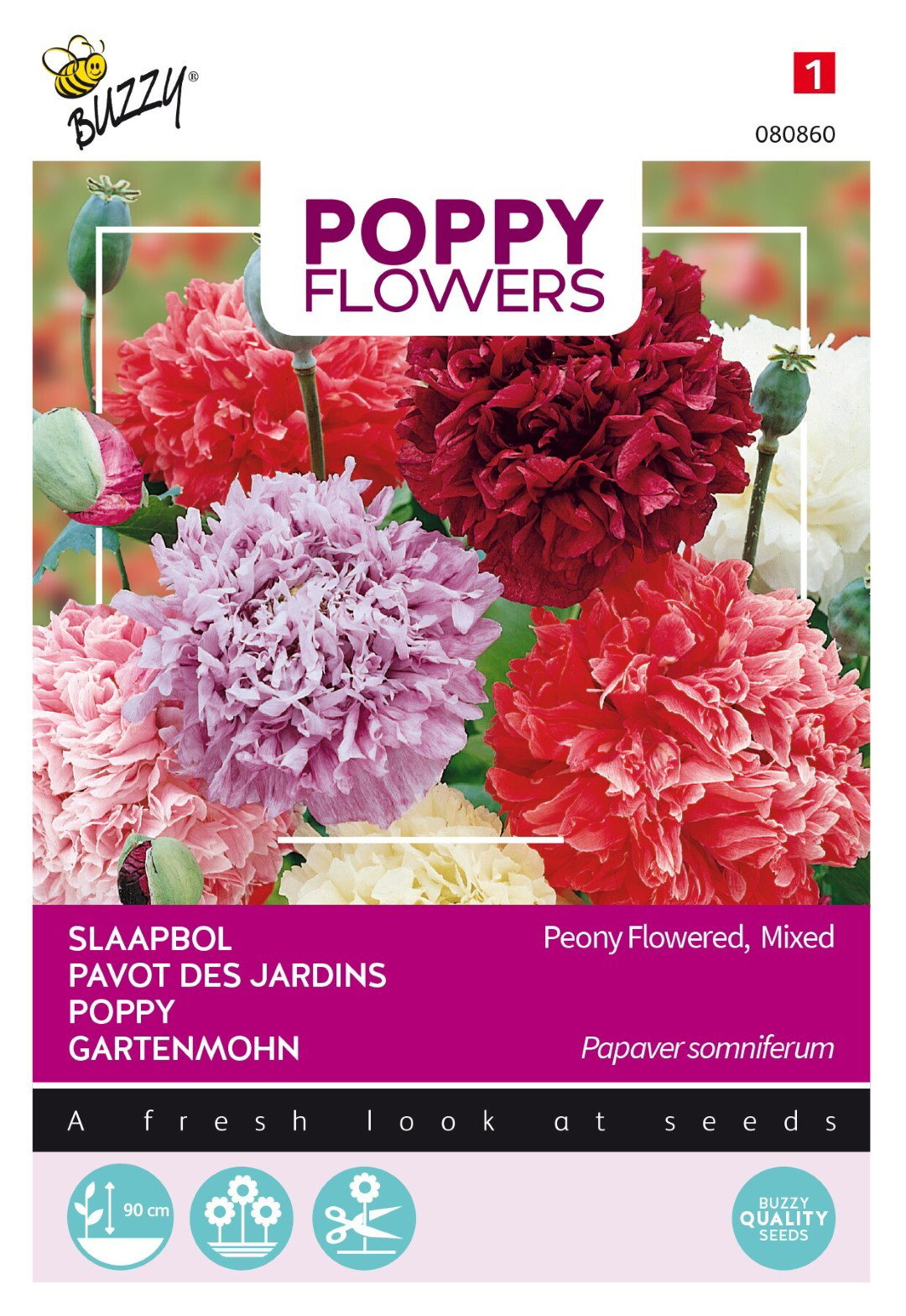 https://cdn.warentuin.nl/media/catalog/product/1/7/1778711117808602_thema_series_tuinzaden_buzzy_poppies_of_the_world_pioenbloemig_71b5.jpeg