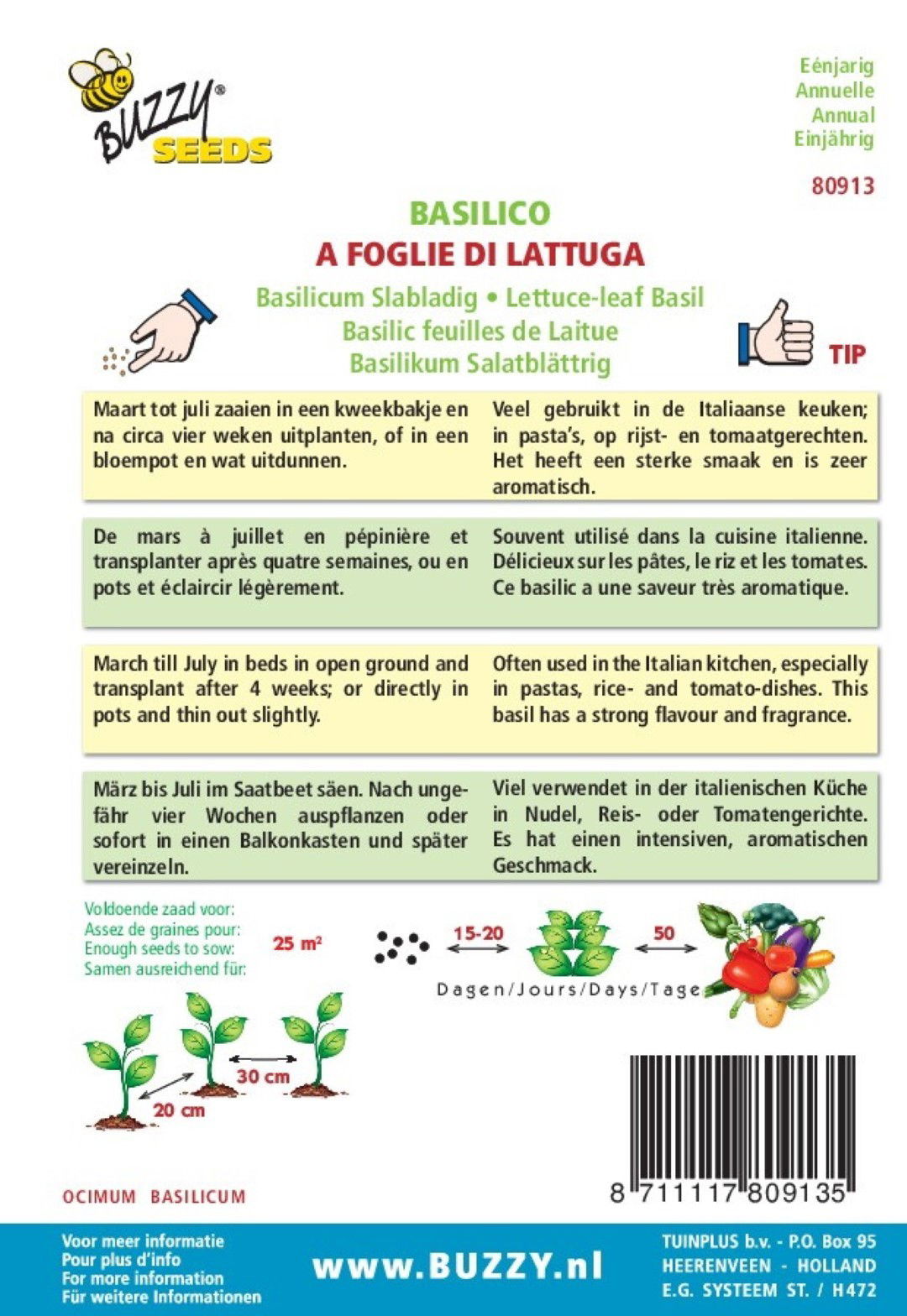 https://cdn.warentuin.nl/media/catalog/product/1/7/1778711117809135_1_thema_series_tuinzaden_buzzy_basilicum_a_foglia_di_lattuga_fe41.jpeg