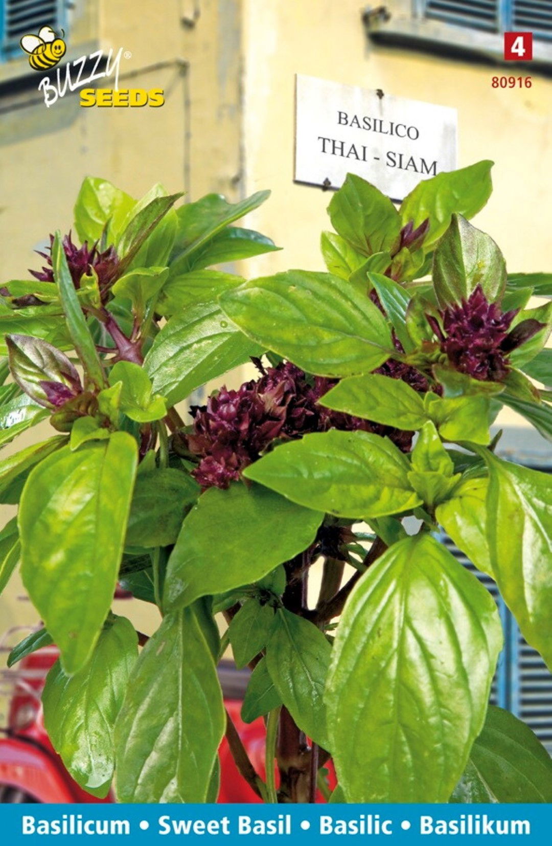 https://cdn.warentuin.nl/media/catalog/product/1/7/1778711117809166_thema_series_tuinzaden_buzzy_basilicum_siam_of_thai_6928.jpeg