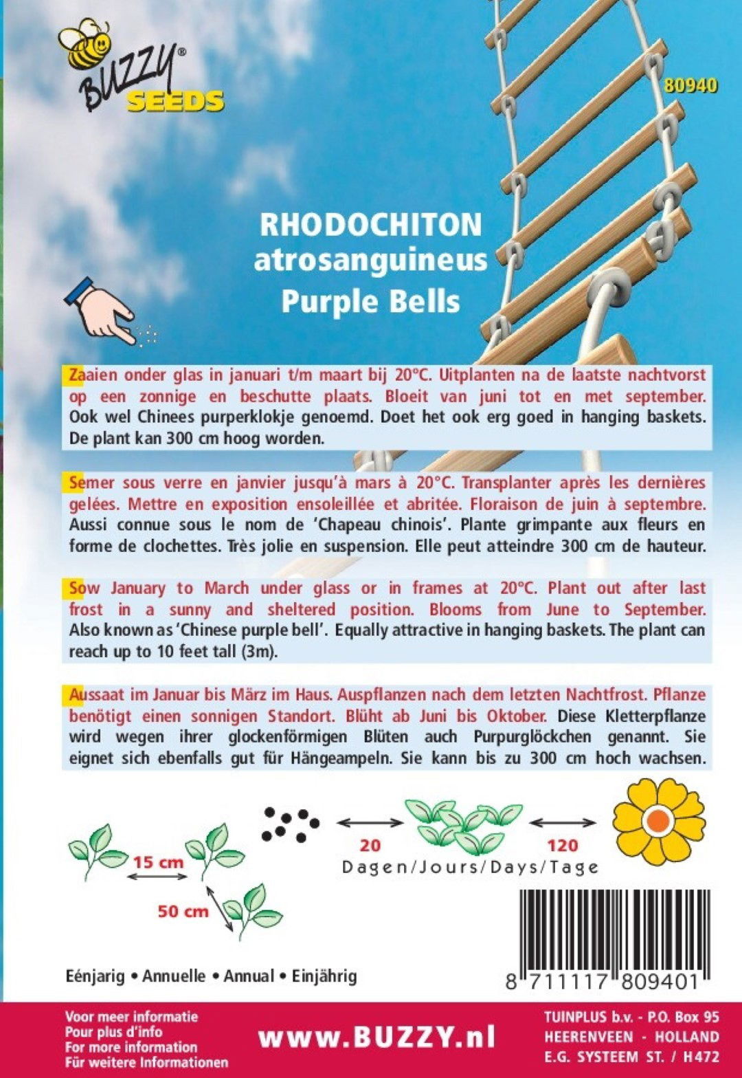 https://cdn.warentuin.nl/media/catalog/product/1/7/1778711117809401_1_thema_series_tuinzaden_buzzy_flowering_climbers_rhodochiton__8268.jpeg