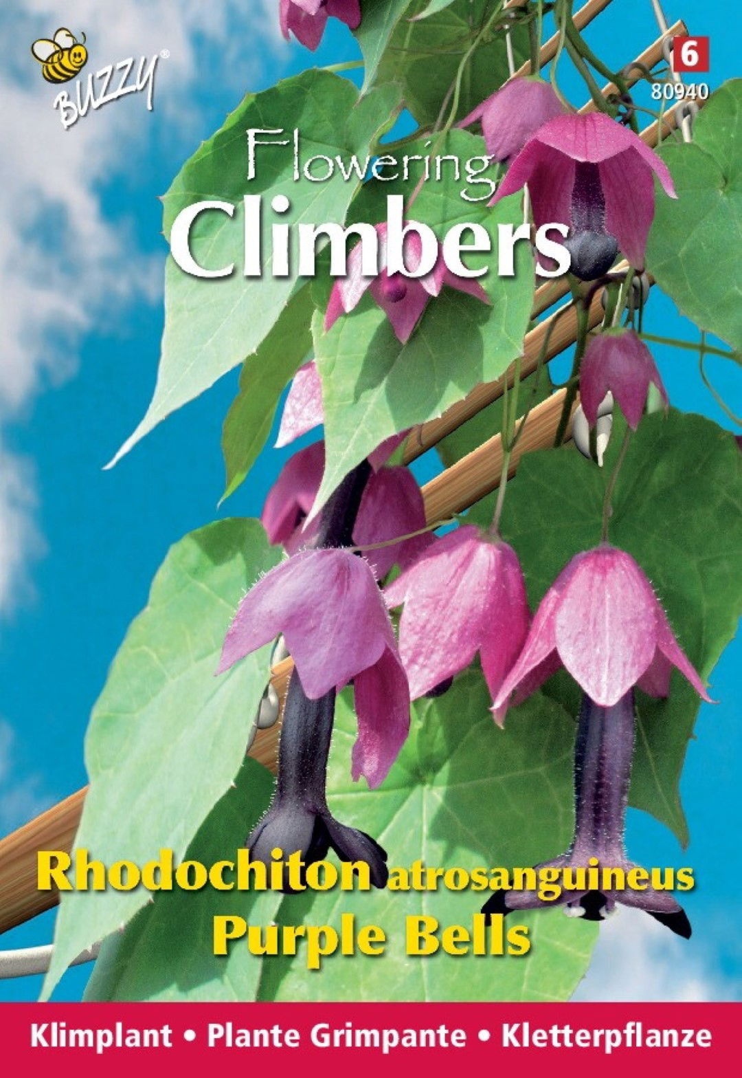 https://cdn.warentuin.nl/media/catalog/product/1/7/1778711117809401_thema_series_tuinzaden_buzzy_flowering_climbers_rhodochiton_pu_c987.jpeg