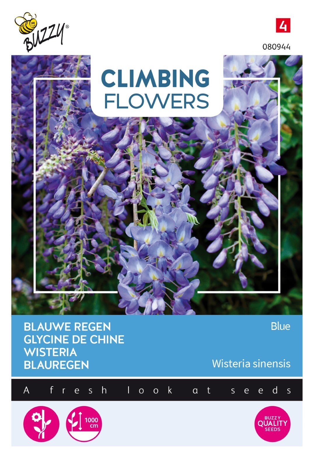 https://cdn.warentuin.nl/media/catalog/product/1/7/1778711117809449_thema_series_tuinzaden_buzzy_flowering_climbers_wisteria_blauw_9e9e.jpeg
