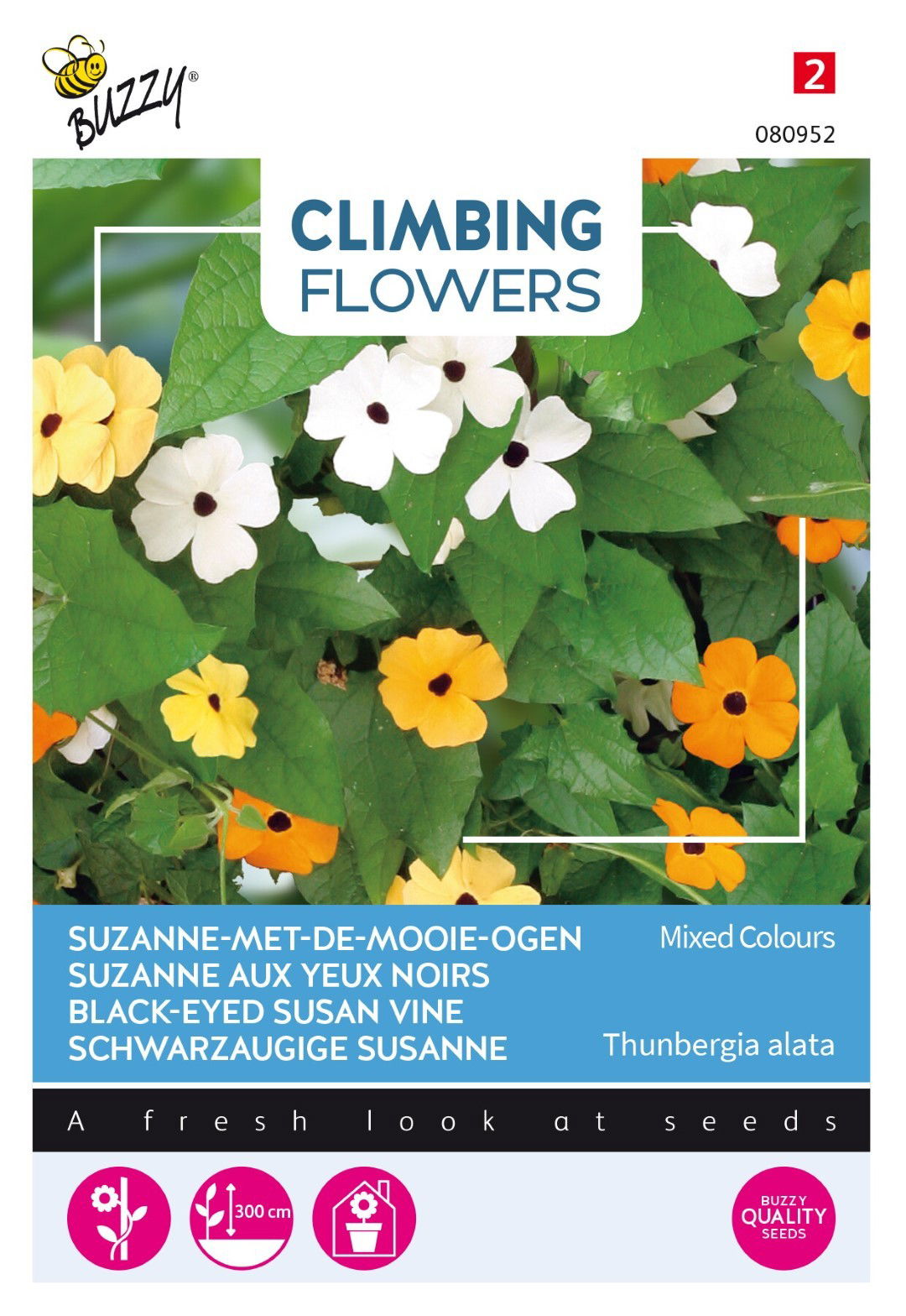 https://cdn.warentuin.nl/media/catalog/product/1/7/1778711117809524_thema_series_tuinzaden_buzzy_flowering_climbers_thunbergia_mix_1f7a.jpeg