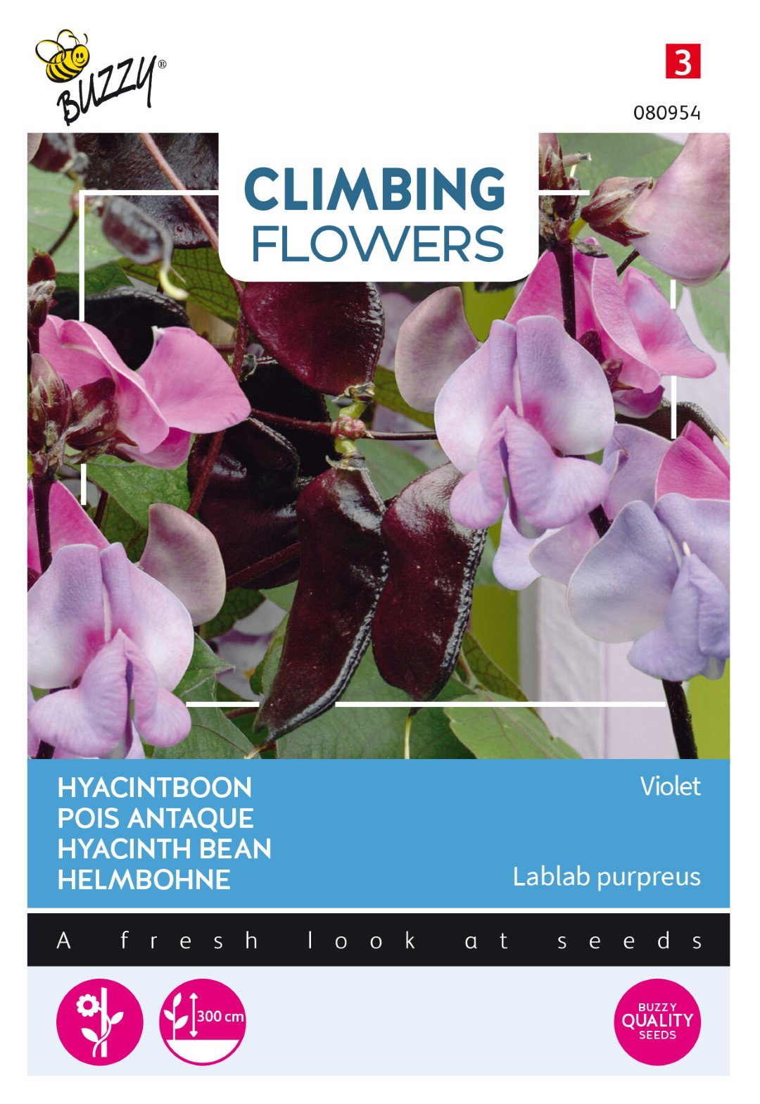 https://cdn.warentuin.nl/media/catalog/product/1/7/1778711117809548_thema_series_tuinzaden_buzzy_flowering_dolichos_lablab_violet_cd94.jpeg
