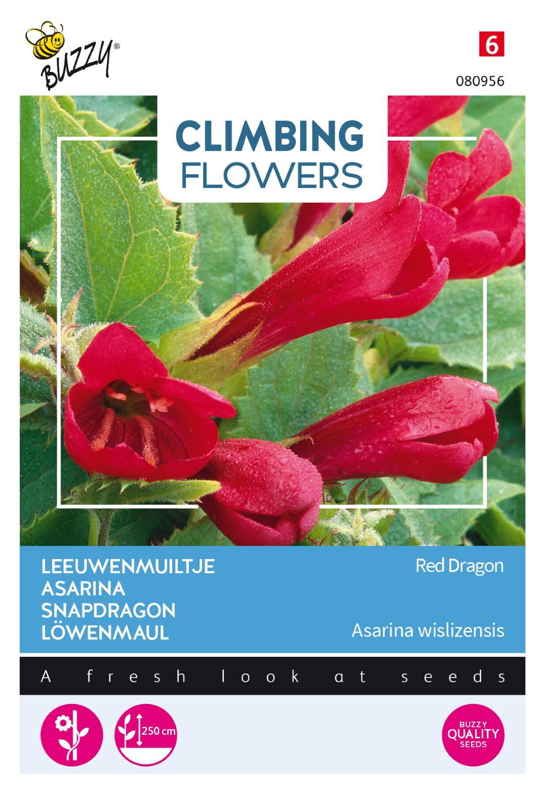 https://cdn.warentuin.nl/media/catalog/product/1/7/1778711117809562_thema_series_tuinzaden_buzzy_flowering_asarina_red_dragon_e21a.jpeg