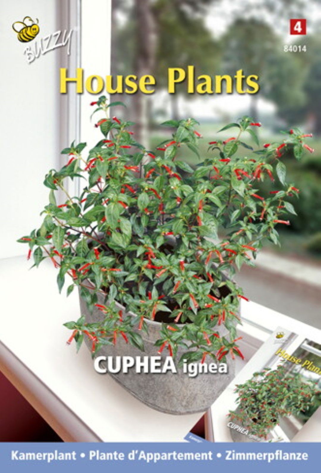 https://cdn.warentuin.nl/media/catalog/product/1/7/1778711117840145_thema_series_tuinzaden_buzzy_house_plants_cuphea_luciferplantj_05fb.jpeg