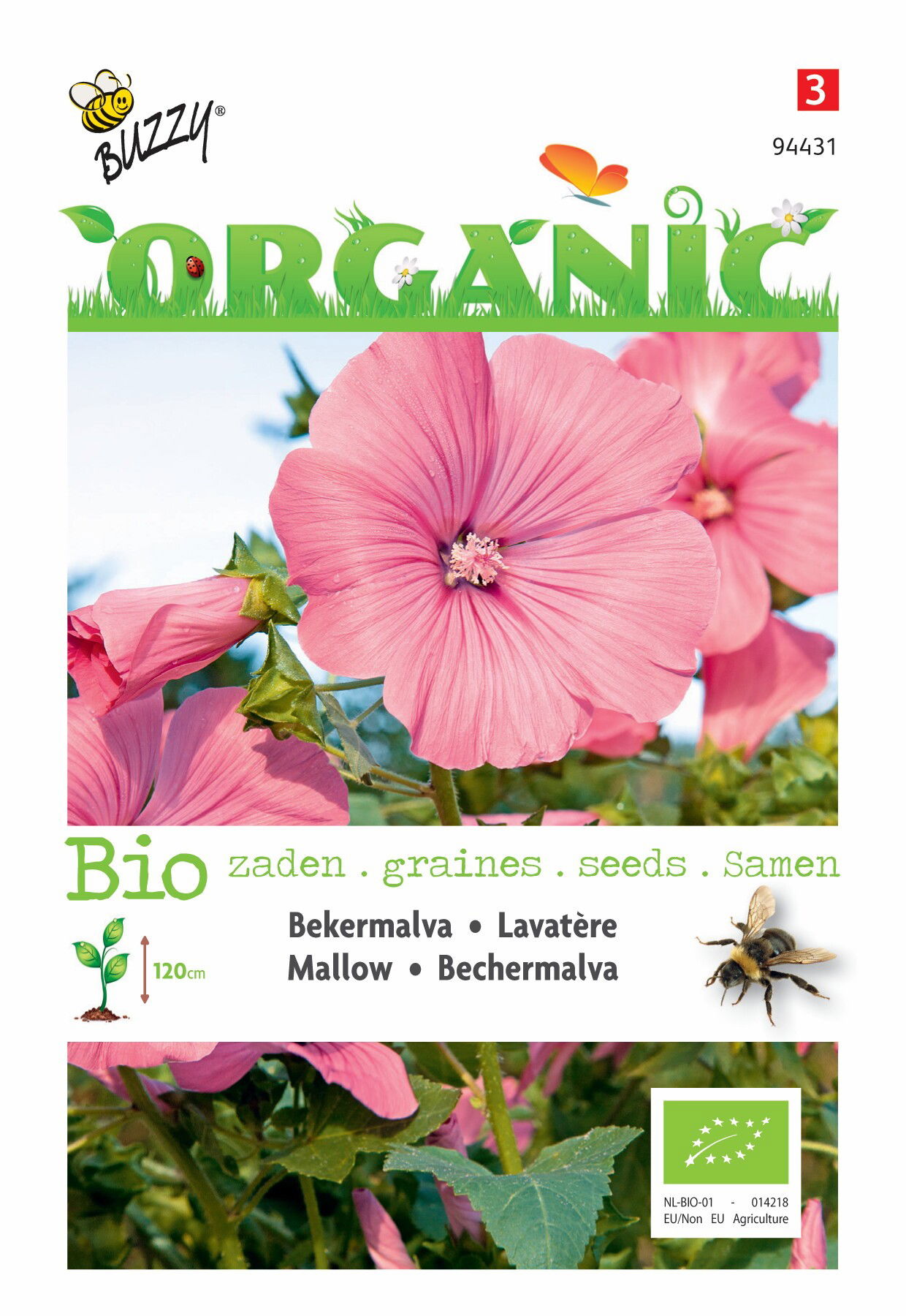 Organic Lavatera trimestris rose rood (Skal 14275) Buzzy