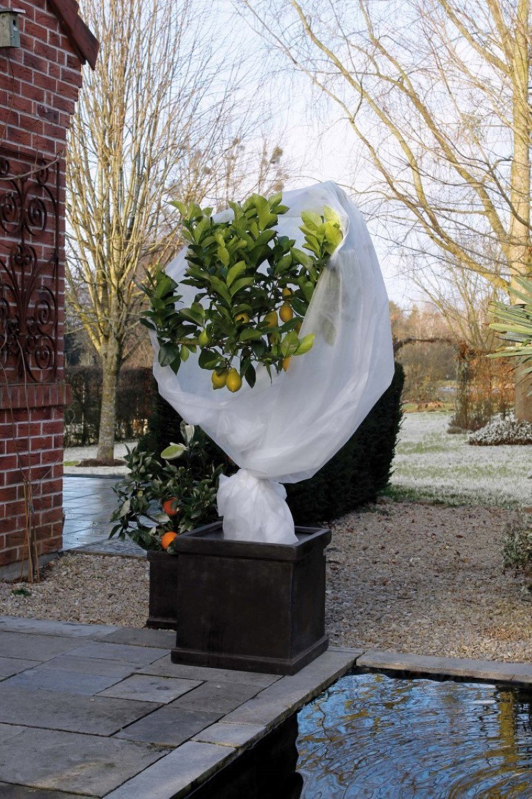 https://cdn.warentuin.nl/media/catalog/product/1/7/1778711338300909_nature_winterbescherming_winterafdekvlies_wit_11_d2b2.jpg