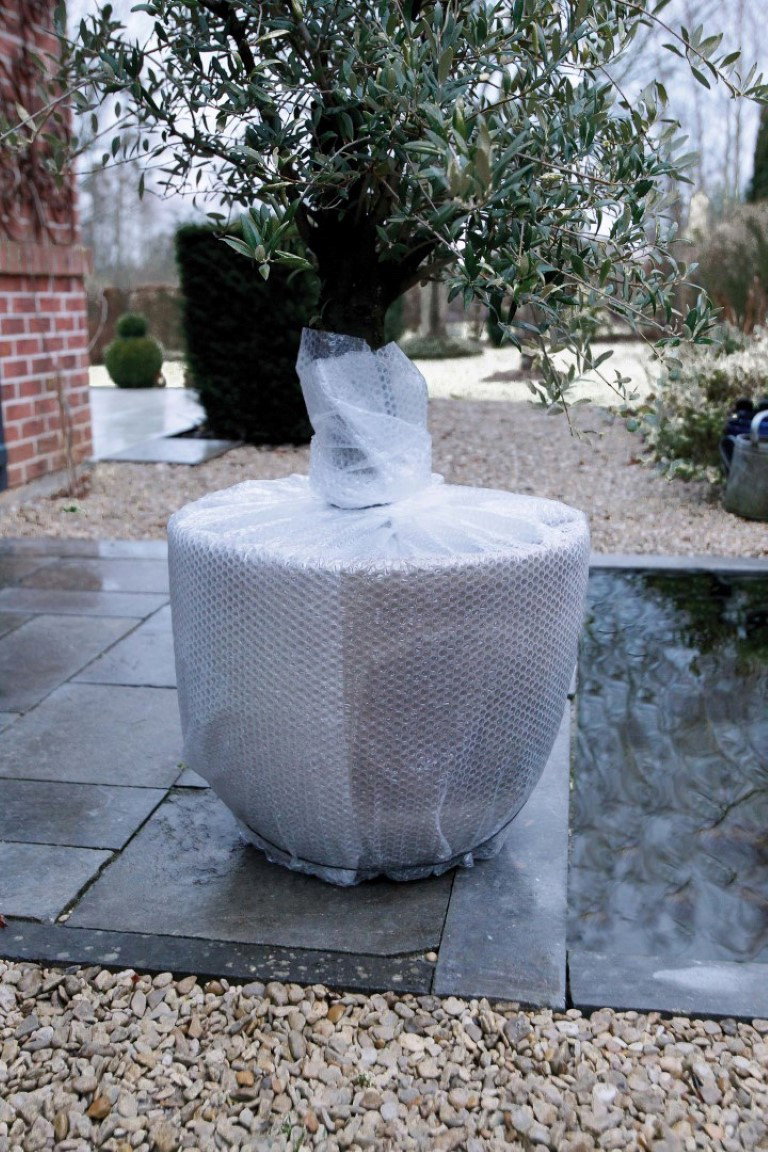 https://cdn.warentuin.nl/media/catalog/product/1/7/1778711338301159_nature_winterbescherming_winternoppenfolie_11_756c.jpg