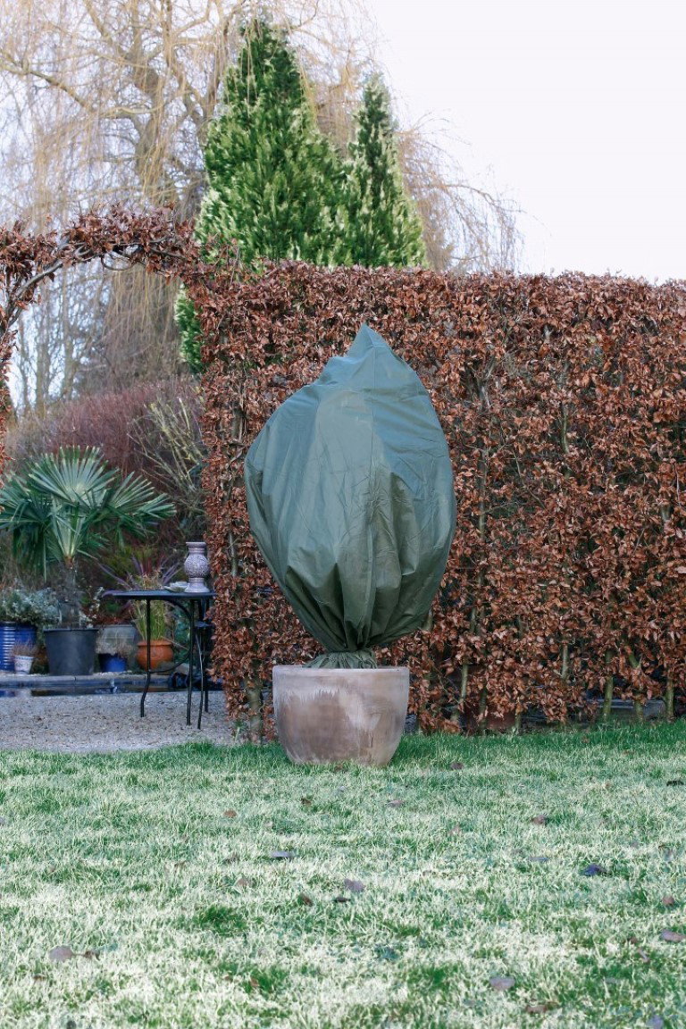 https://cdn.warentuin.nl/media/catalog/product/1/7/1778711338301227_nature_winterbescherming_winterafdekhoes_met__11_2536.jpg
