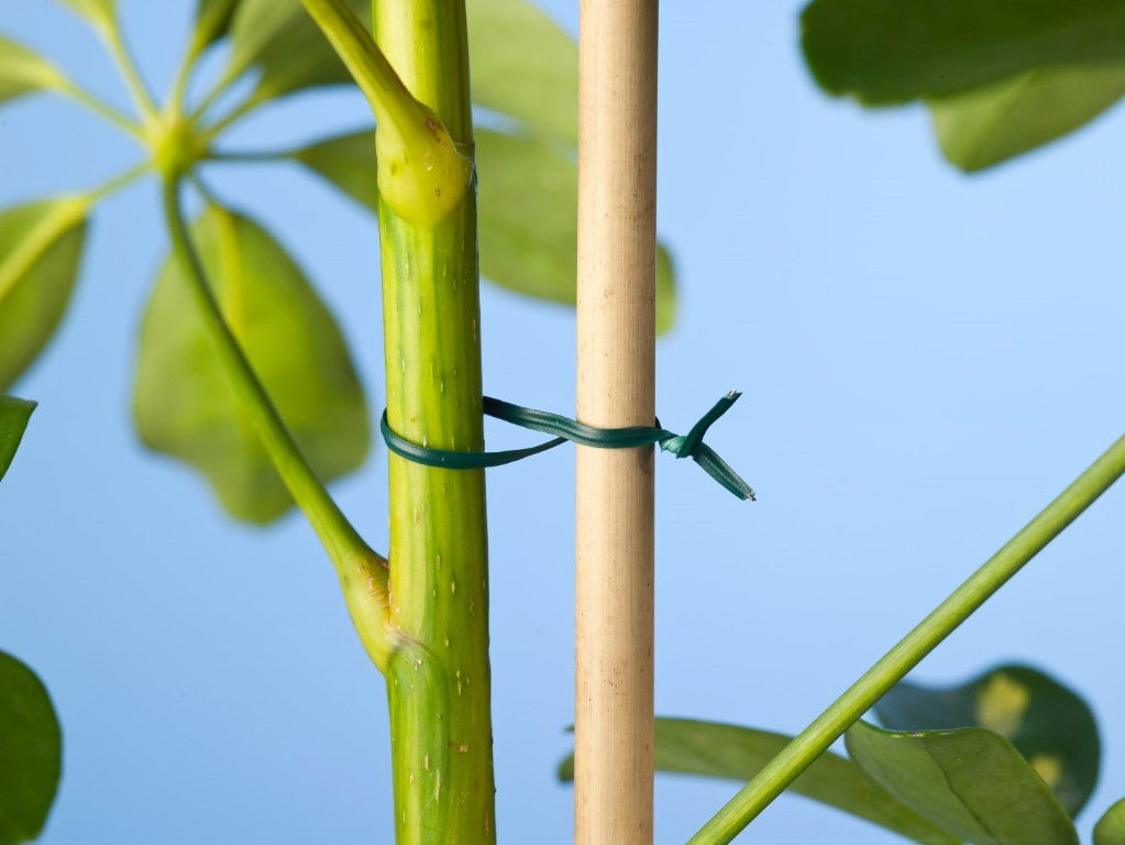 Bindband groen met metalen kern geplastificeerd 100m Nature