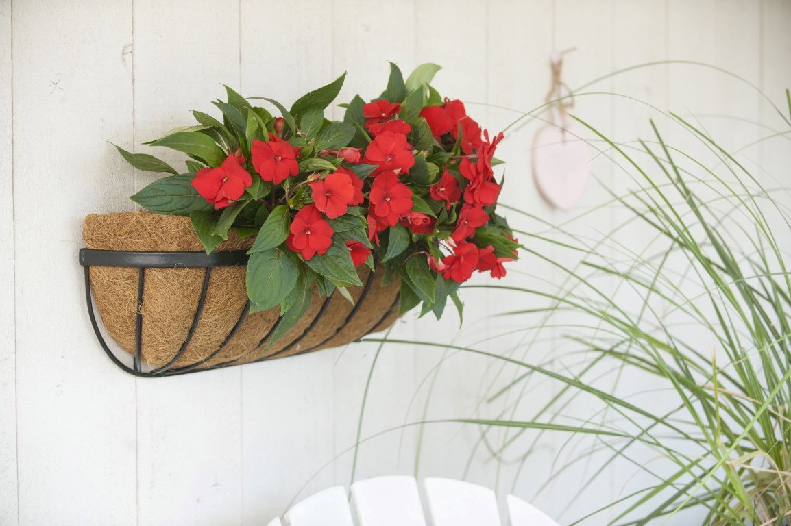 Hanging basket smeedijzer zwart H16,5x61x16cm Nature - Nature