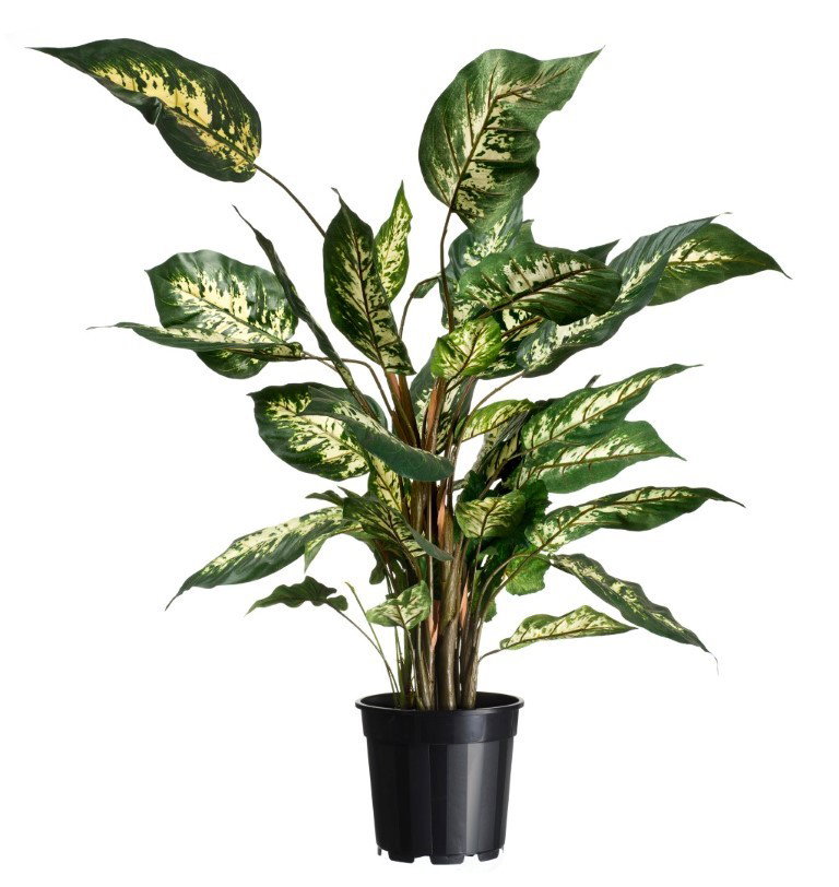 https://cdn.warentuin.nl/media/catalog/product/1/7/1778711338702109_nature_zaaien_en_planten_container_zwart_2_2l_6_ad32.jpg