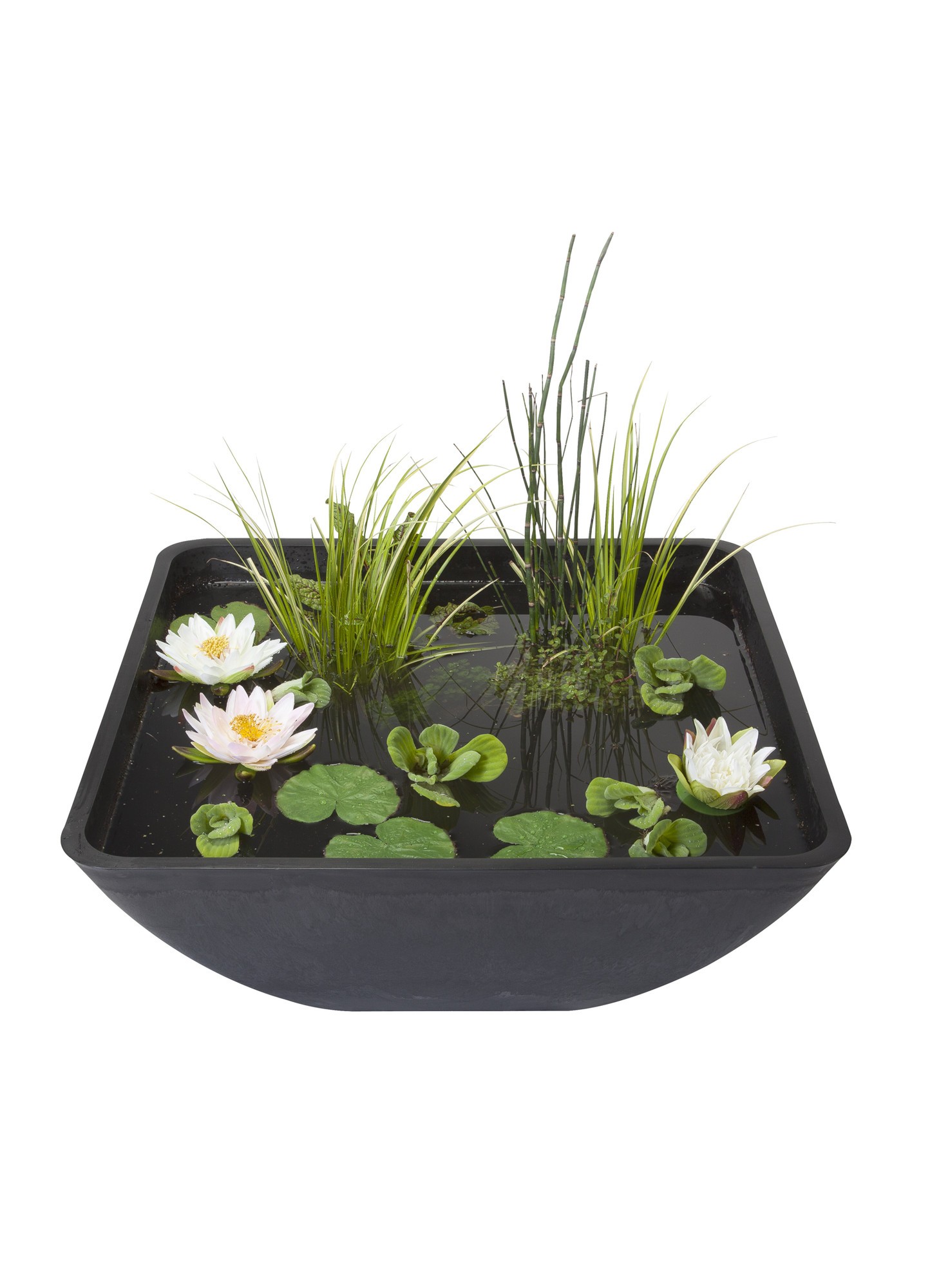 https://cdn.warentuin.nl/media/catalog/product/1/7/1778711921241459_terrasvijver_mini_pond_square_75_x_75_cm_velda_1_3707.jpg