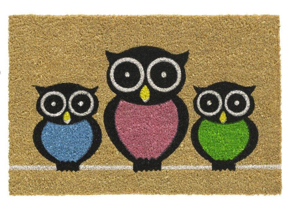 Hamat Ruco print l40b60cm welcome owls  - 