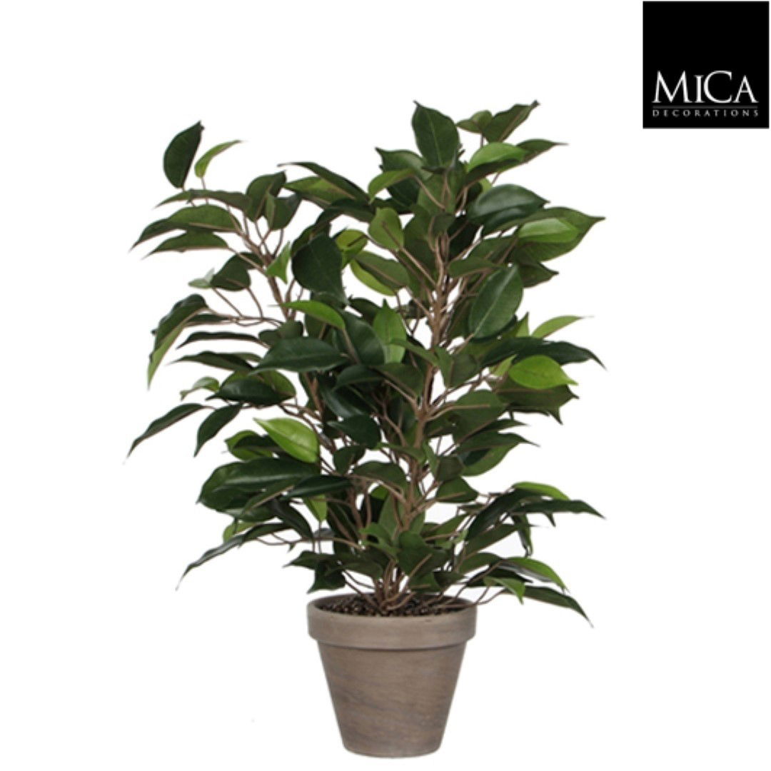 https://cdn.warentuin.nl/media/catalog/product/1/7/1778712293303073_mica_decorations_nepplant_ficus_natasja_groen_in_pot_stan_grij_0639.jpg