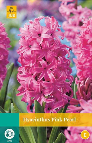 Hyacint Pink Pearl bloembollen 5 bollen Hyacint JUB - Jub