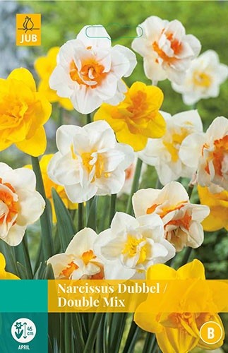 Narcissus Dubbel Mix bloembollen 5 bollen Narcis JUB - Jub