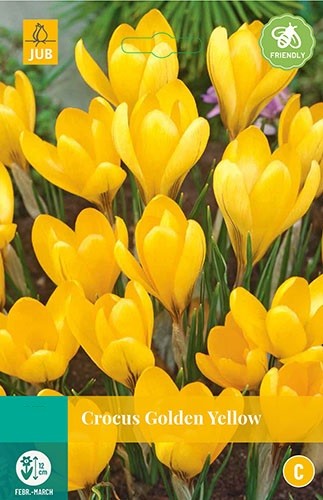 Crocus Golden Yellow bloembollen 10 bollen Krokus JUB - Jub