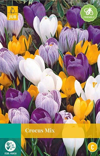 Crocus grootbloemig mix bloembollen 10 bollen Krokus JUB - Jub